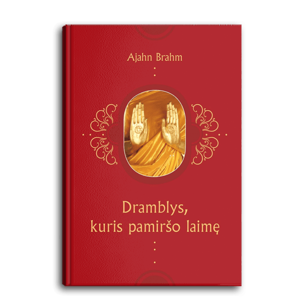 Dramblys, kuris pamiršo laimę